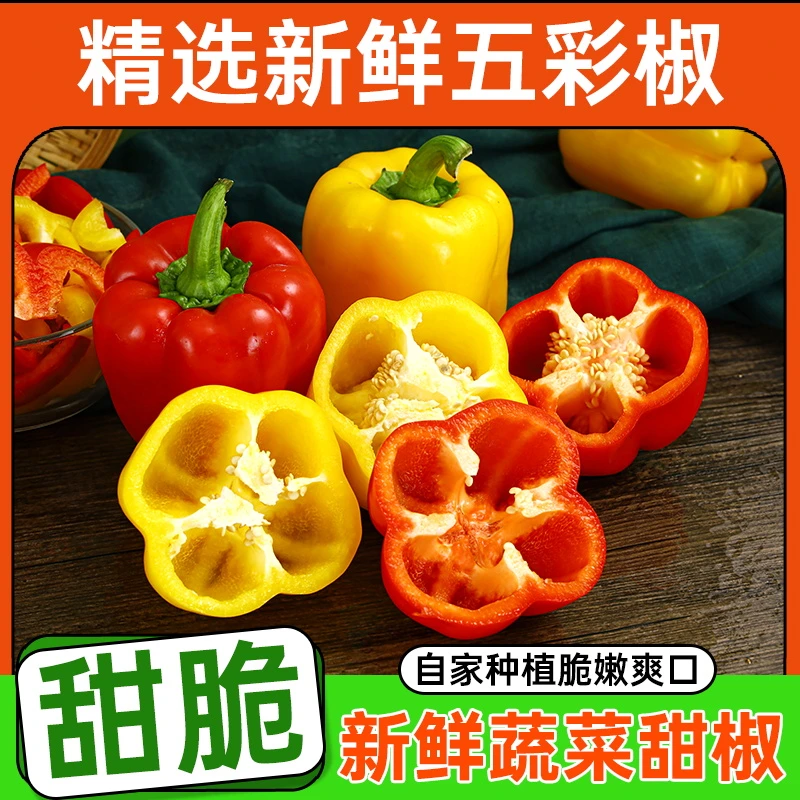 五彩椒红黄甜椒水果椒脆甜不辣现摘圆椒太空椒灯笼晚餐代餐生吃
