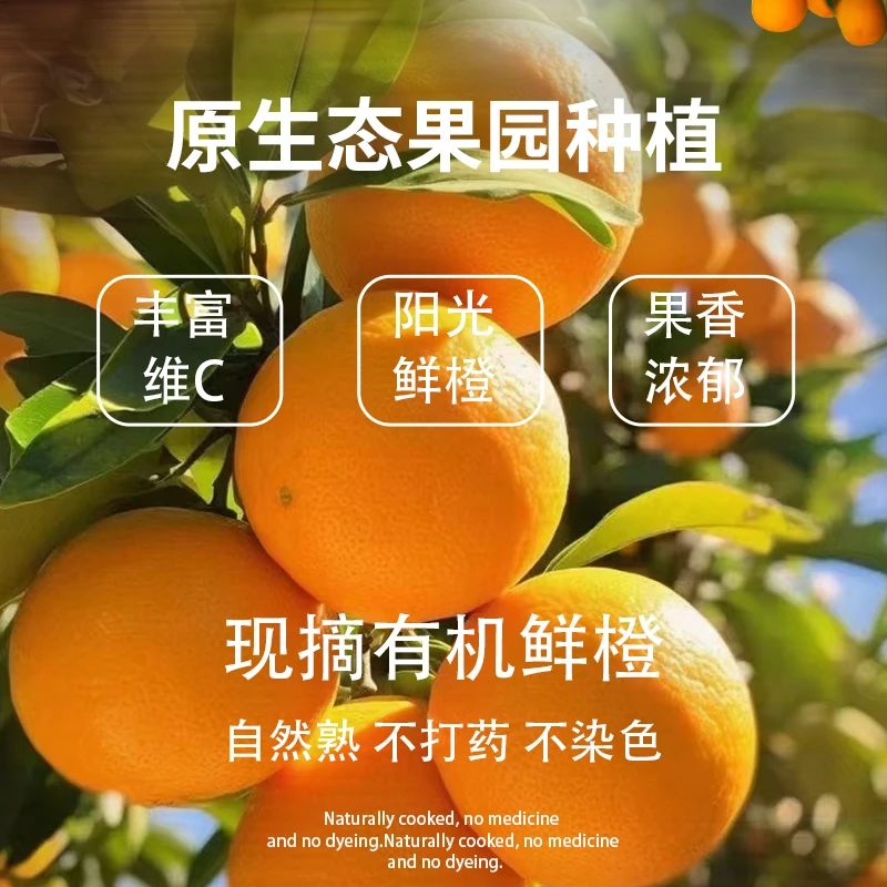 正宗赣南脐橙赣南早熟脐橙江西赣州橙子新鲜水果应季水果产地直发
