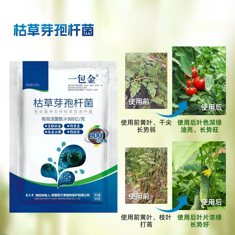 邦夫一包金枯草芽孢杆菌生根壮苗草莓辣椒种植花卉蔬菜微生物菌剂