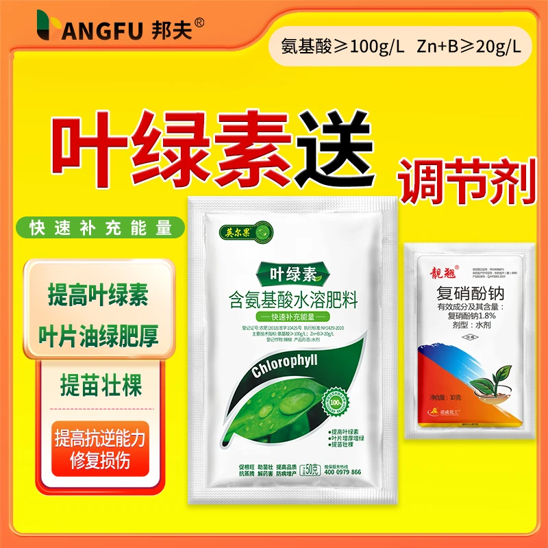 叶绿素氨基酸叶面肥复配复硝酚钠生长调节果树蔬菜提苗壮根叶面肥