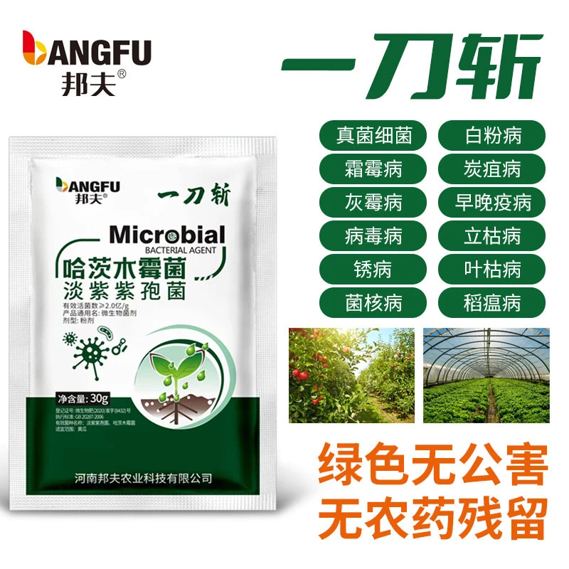 邦夫一刀斩哈茨木霉菌淡紫紫孢菌抗重茬预防蔬菜通用肥微生物菌剂