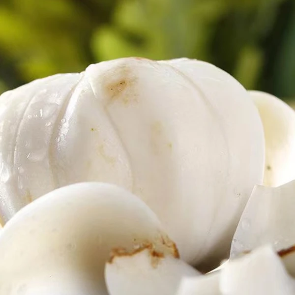 兰州新鲜百合食用甜百合新鲜一斤16颗百合甜糯500g