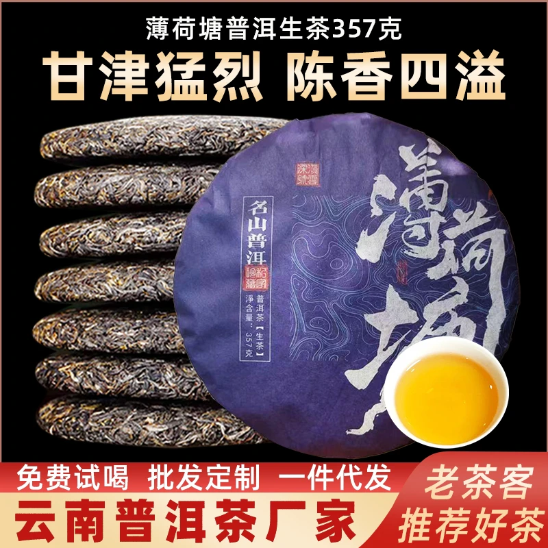 云南普洱茶易武薄荷塘生茶357克古树茶叶早春生茶高档茶叶