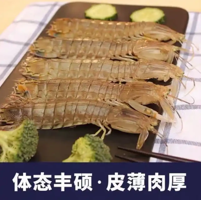 鲜活皮皮虾（公母搭配）