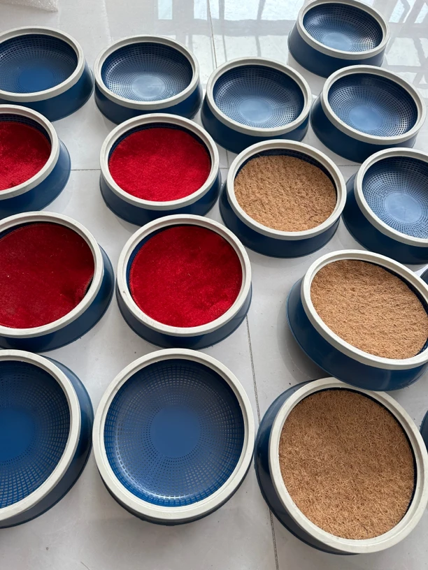 爱鸽加深网边塑料窝（10个一组）