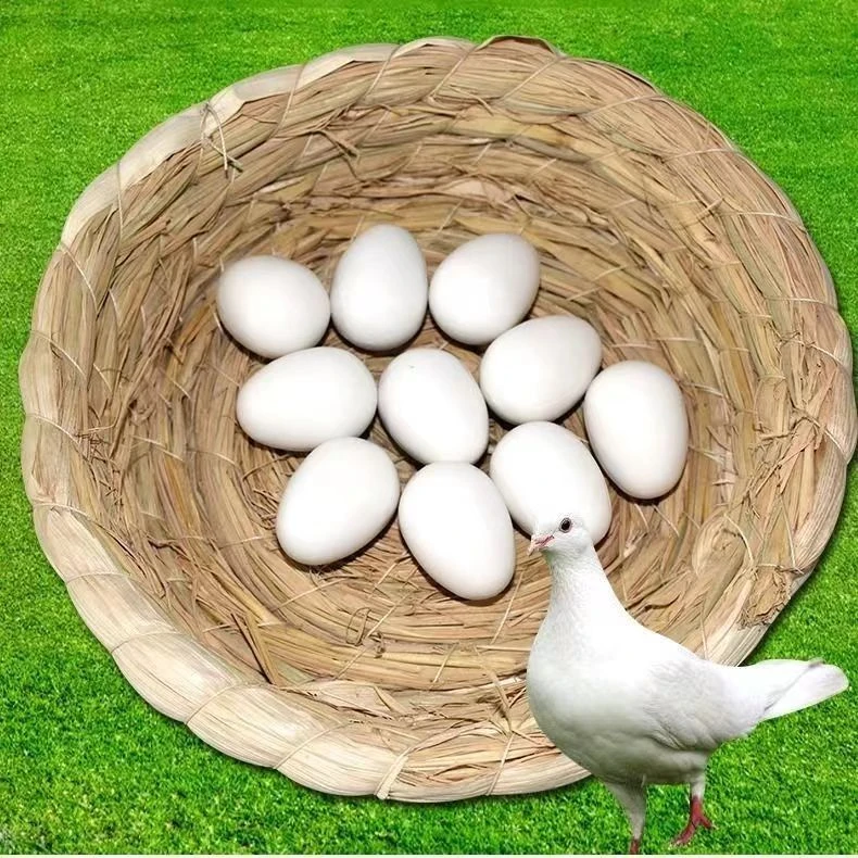 爱鸽假鸽子蛋实心蛋，（10个装）