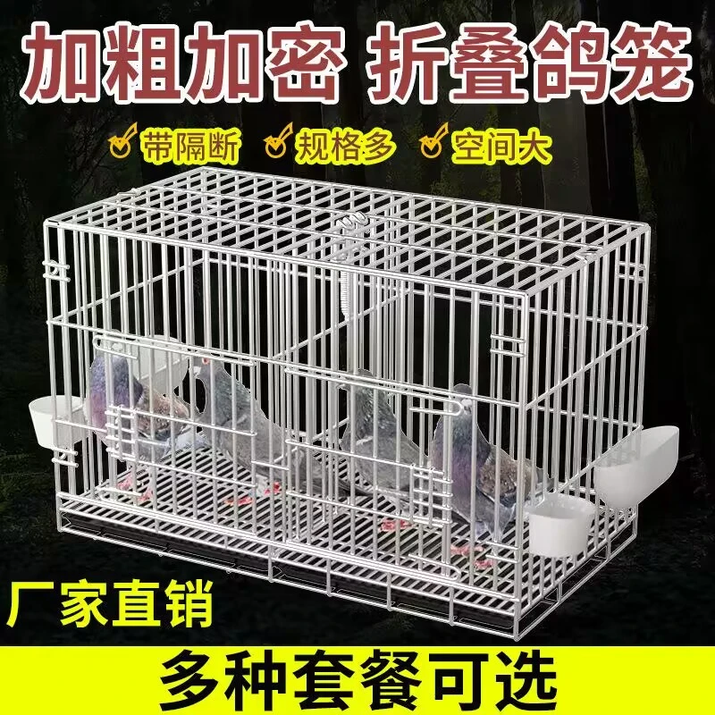 鸽子笼养殖笼大室外鸽舍家用鸽棚放飞笼训放笼网加粗加密大型.
