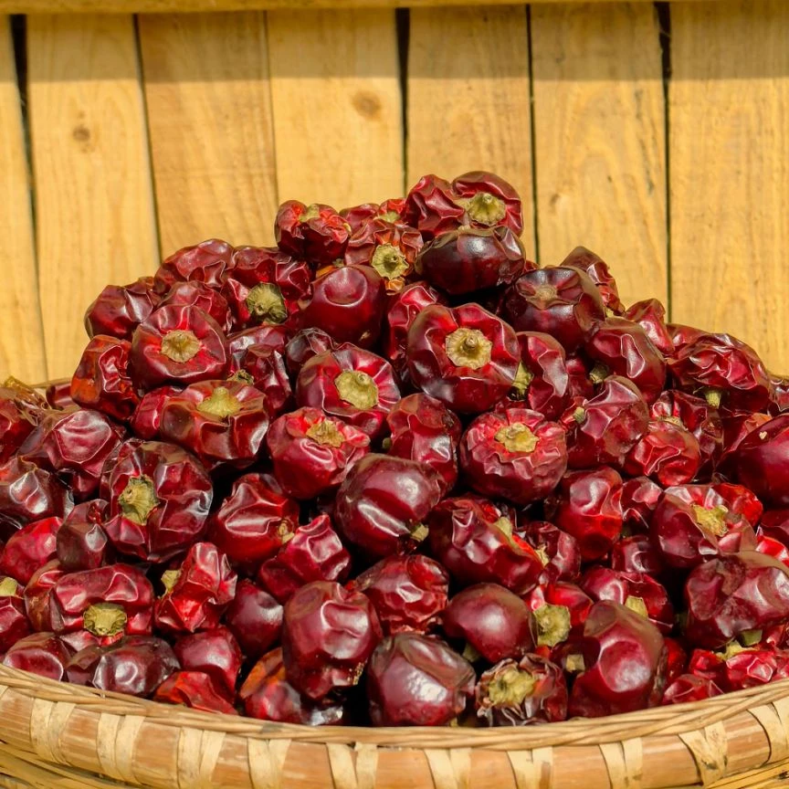 五个坡干辣椒（灯笼椒微辣爆香）