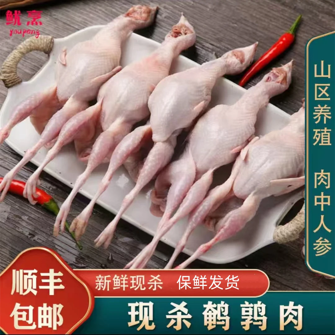 新鲜大母鹌鹑 现宰 生鲜鹌鹑肉 孕妇炖汤红烧油炸烧烤 生骨肉15只