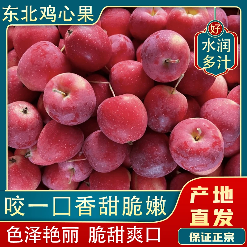 东北鸡心果锦绣海棠脆甜多汁当季新鲜水果