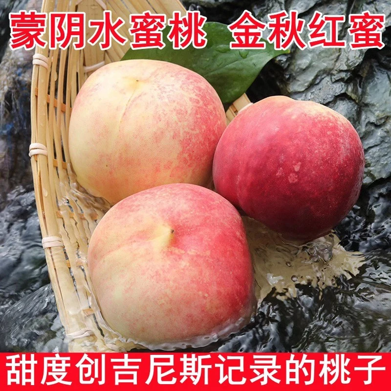 蒙阴金秋红蜜桃子蒙阴蜜桃映霜红秋桃鲜果孕妇宝宝纯甜桃水蜜桃