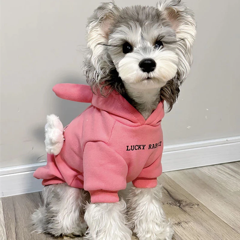 狗狗衣服秋冬款宠物加绒卫衣连帽牛角加厚保暖比熊雪纳瑞猫咪衣服