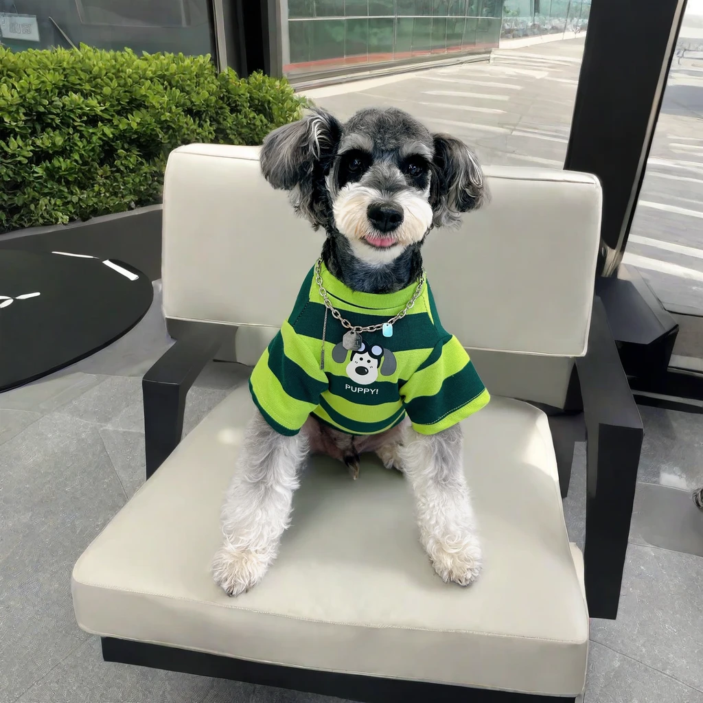小狗衣服狗狗条纹短袖衣服小型犬衣服春夏薄款网红雪纳瑞泰迪衣服