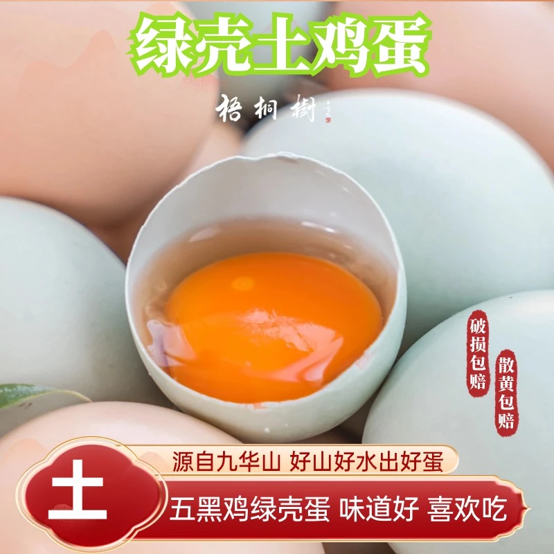 【绿壳土鸡蛋50枚】高山散养土鸡蛋天然农场优质新鲜营养黑鸡绿壳蛋