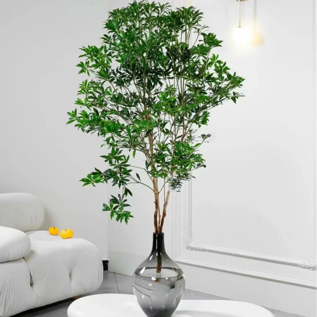 【进口马醉木】高品质网红鲜切枝叶绿植家养水培小森林