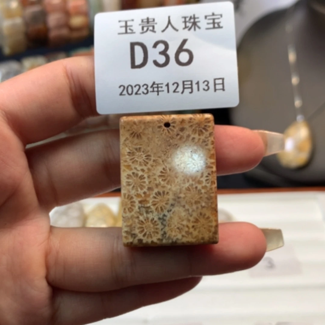 【闪购商品】硅化珊瑚（珊瑚玉）珠宝半成品未镶嵌36