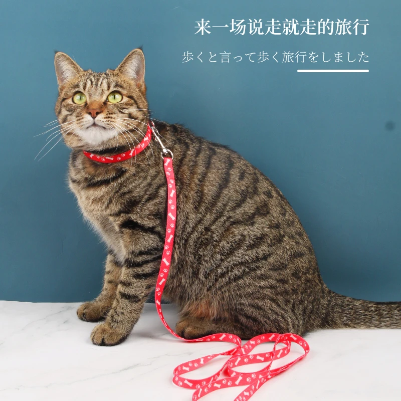 猫咪牵引绳遛猫绳防挣脱猫绳小型犬狗绳套脖式外出牵连宠物用品