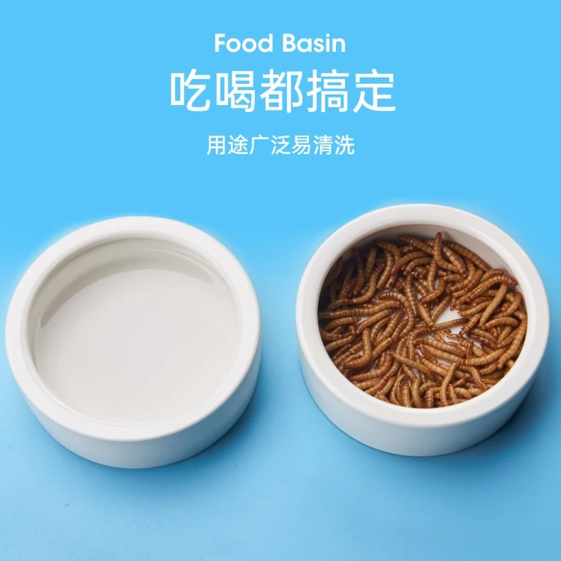 爬虫防逃逸食盆爬宠蜥蜴守宫蜘蛛鬃狮饲养面包虫大麦虫无菌陶瓷盆