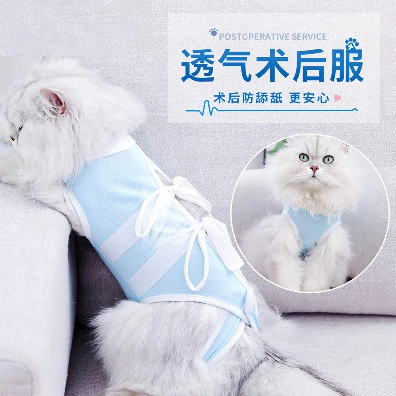 猫咪术后服母猫绝育衣服包肚衣断奶公猫防舔术后猫猫绝育服防护服
