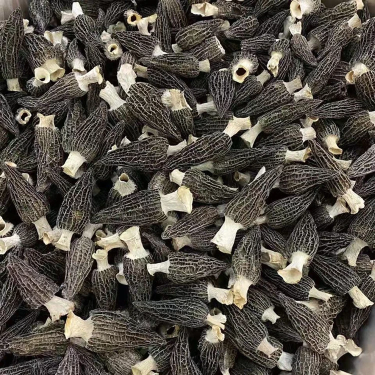 羊肚菌7-9公分干货袋装100克250克