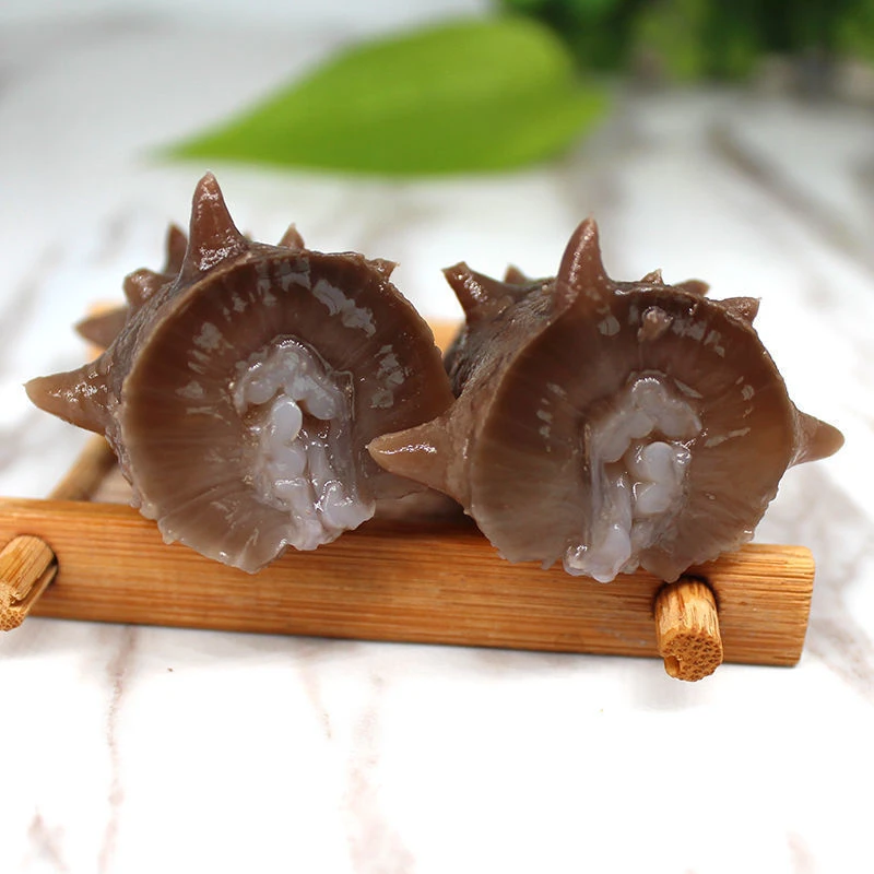 大连即食海参辽参Q弹筋道15-18头500克装足重解冻加热优质营养