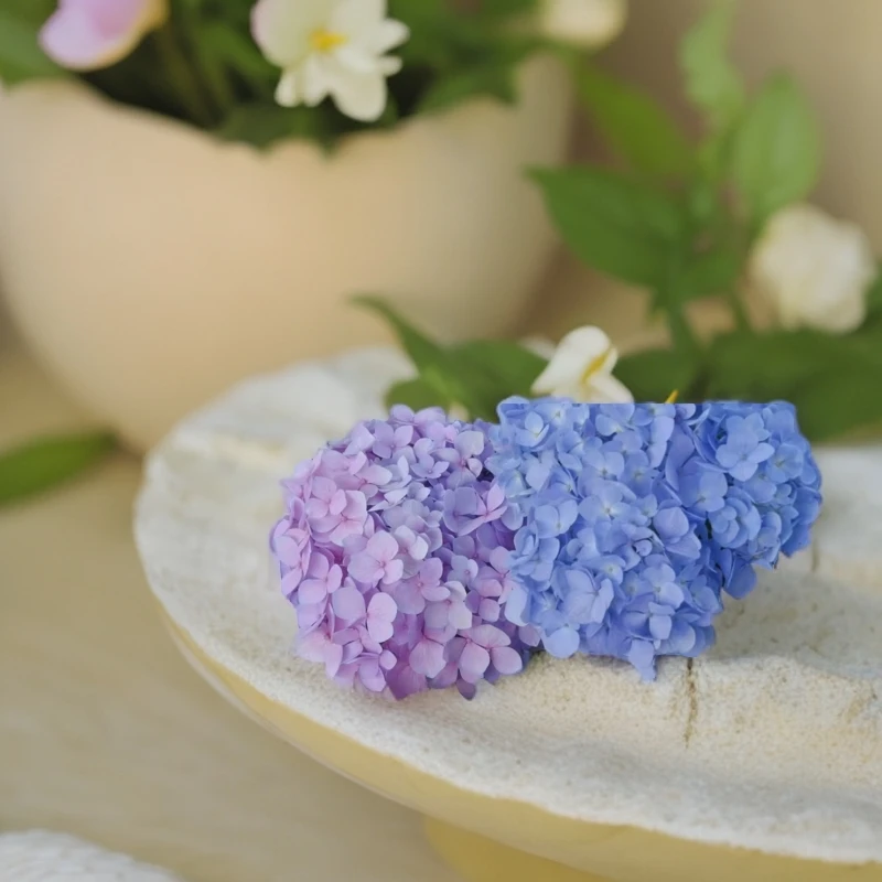 绣球小苗12cm盆小苗