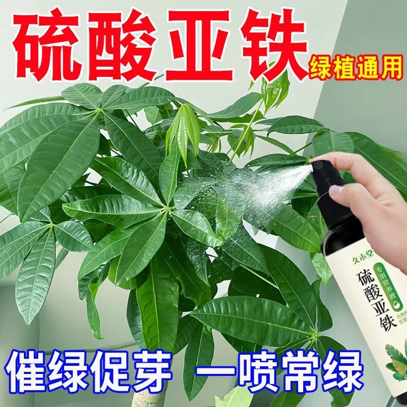 硫酸亚铁花肥料专用营养液水溶肥栀子花发财树喜酸植物浇花新型肥