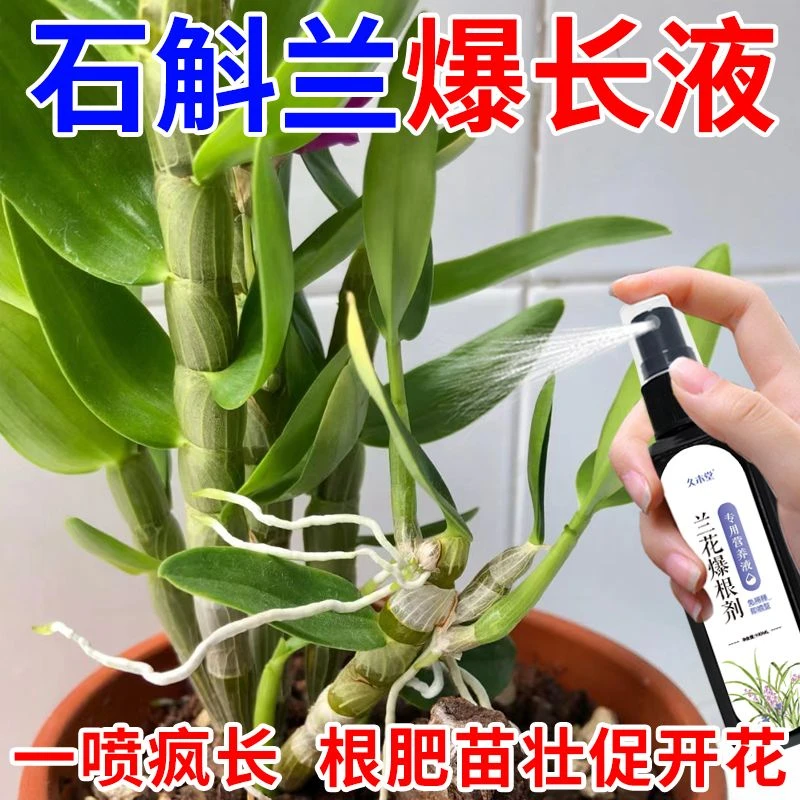 一喷疯长】石斛兰营养液兰花专用爆根剂促长壮根促苗催花开通用肥
