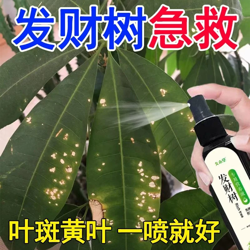 【绿叶宝】发财树叶斑专用营养液叶子发黄起斑烂根促生长通用肥料