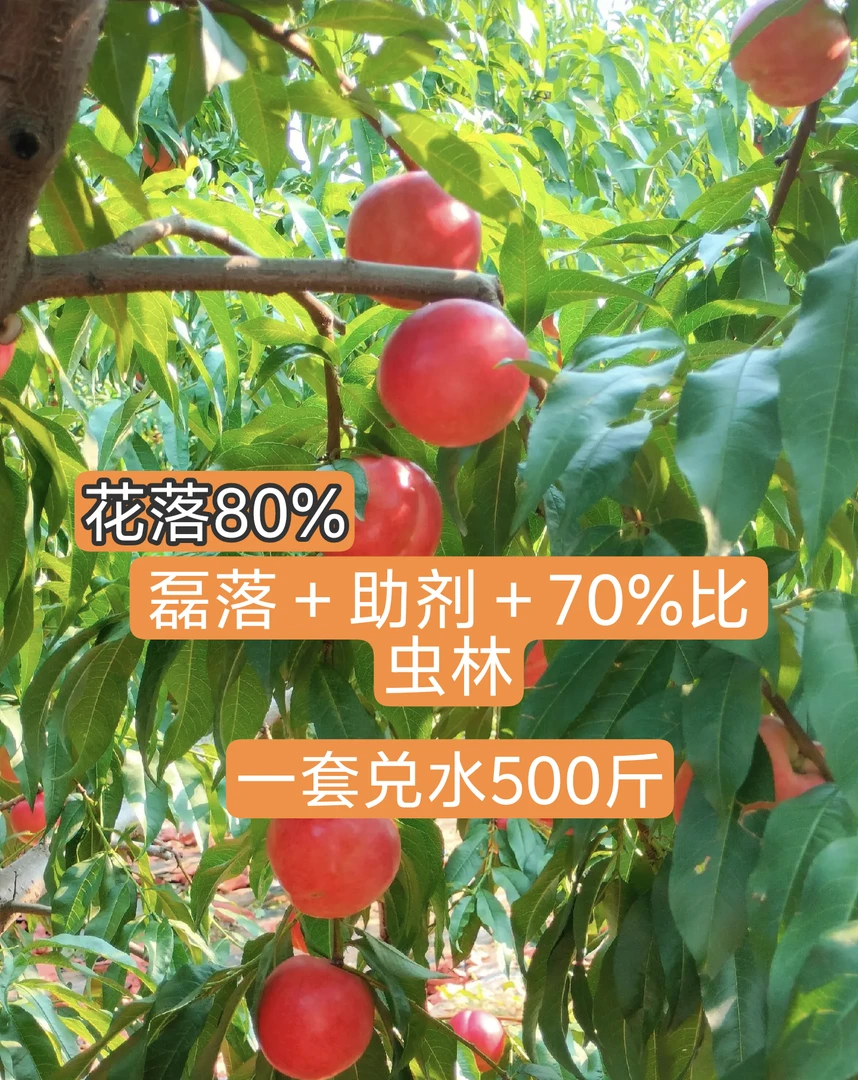 微量元素水溶肥 蚜2