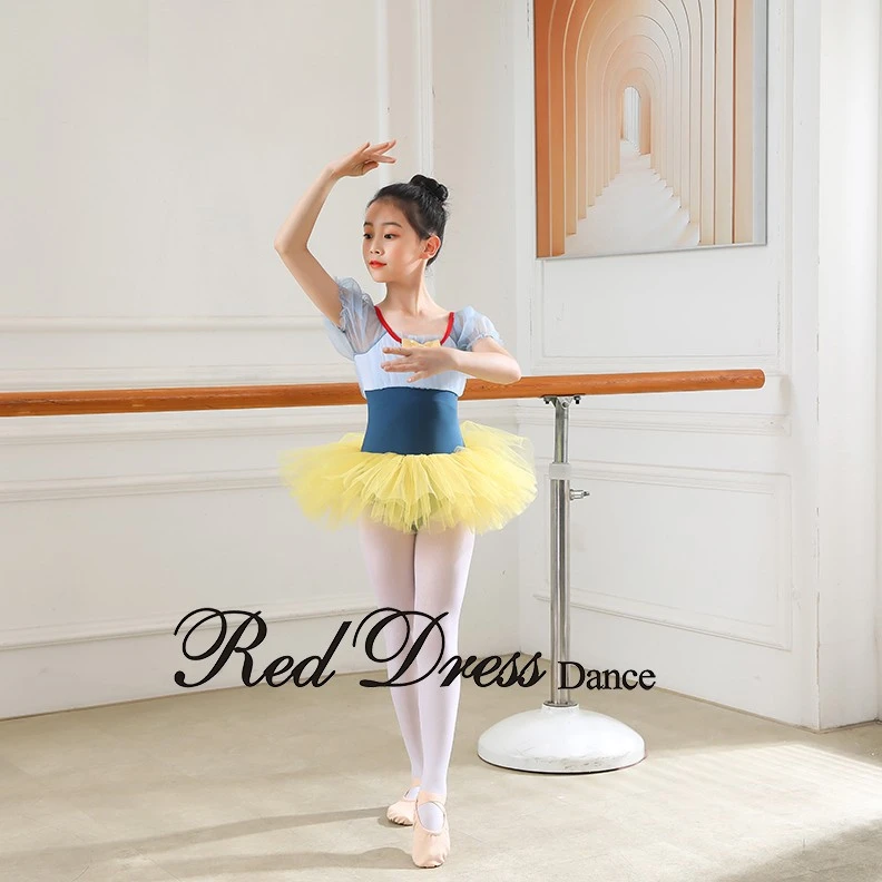 儿童女童时尚中国舞练功服公主风民族芭蕾舞表演跳舞裙舞蹈服套装