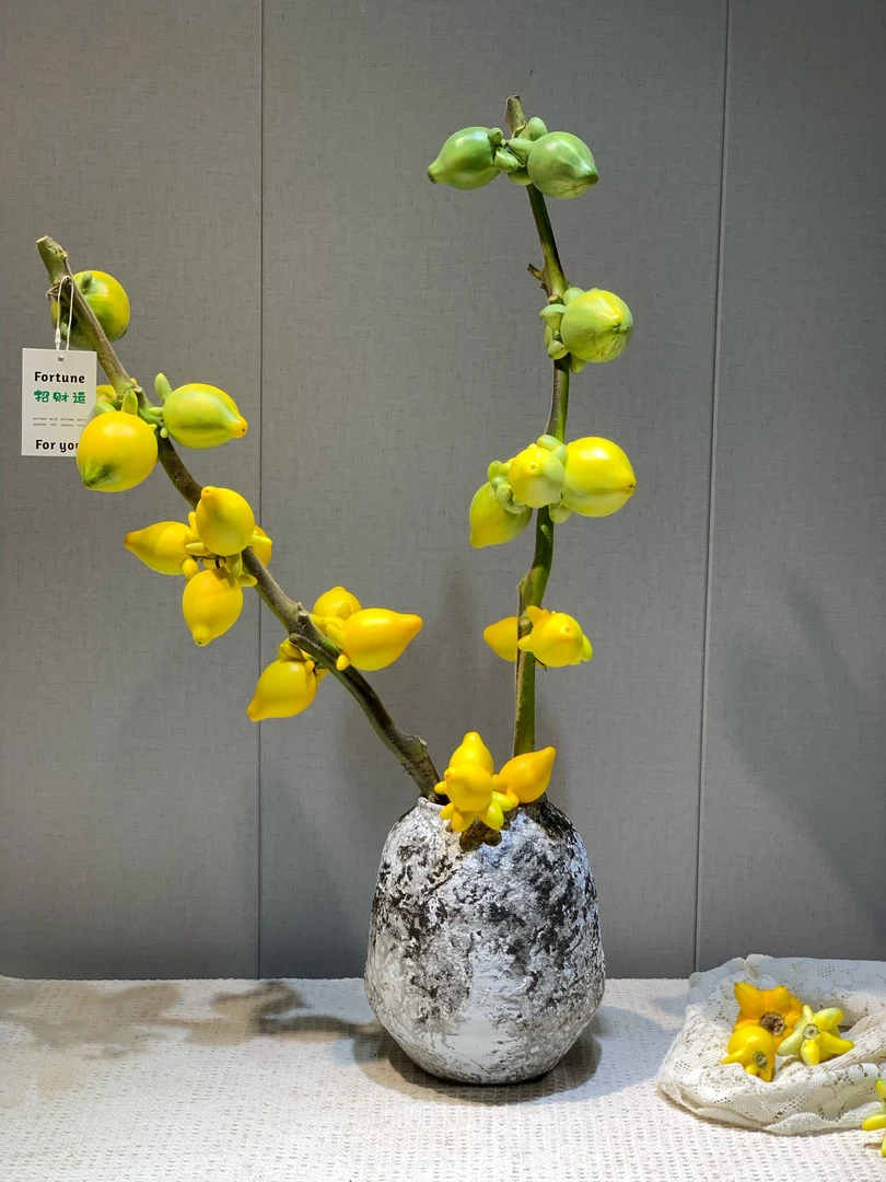 五代果小猪佩奇黄金果鲜枝水培干放鲜切花小众高级花材森系植物