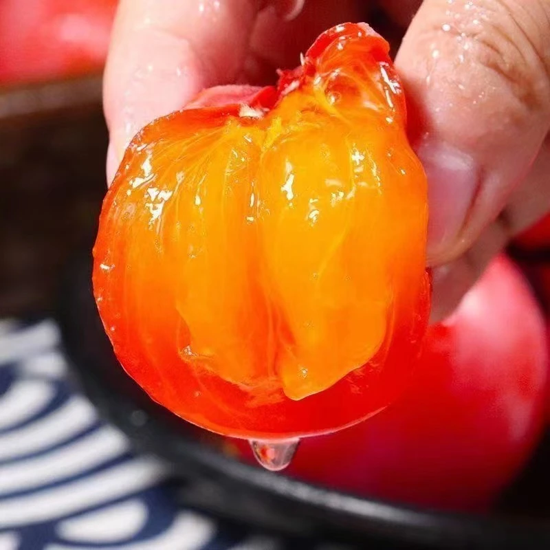 【品种苗】花卉绿植盆栽地栽南北方种植花盆庭院