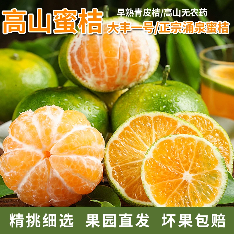 顺丰浙江台州正宗涌泉蜜桔无籽青皮小蜜橘新鲜应季水果热销第一名