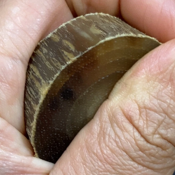 滴血莲花菩提吊坠