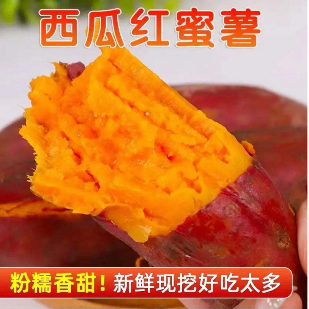 陕西汉中农户种植西瓜红蜜薯软糯香甜无丝5斤装新鲜甜糯皮薄好吃