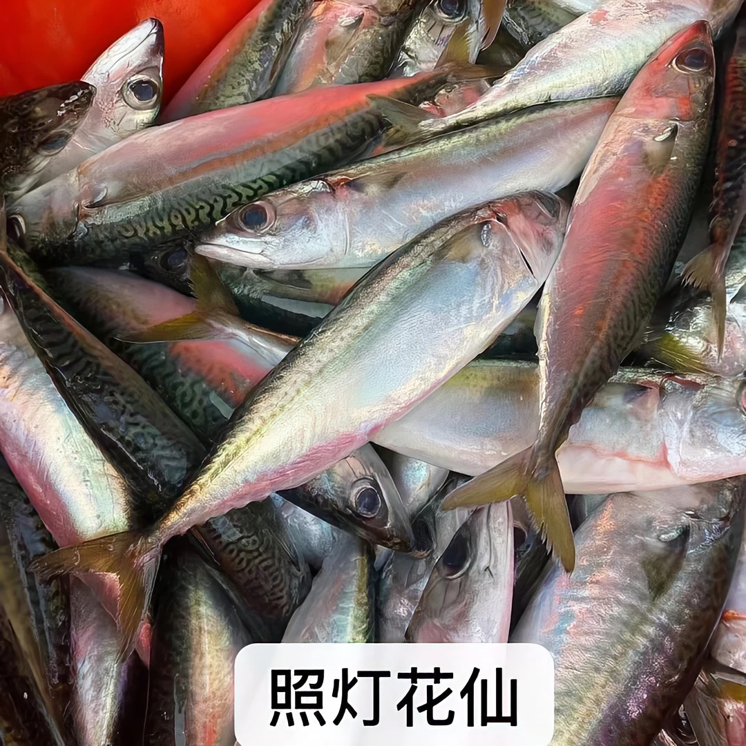 惠来神泉本花仙5包包邮