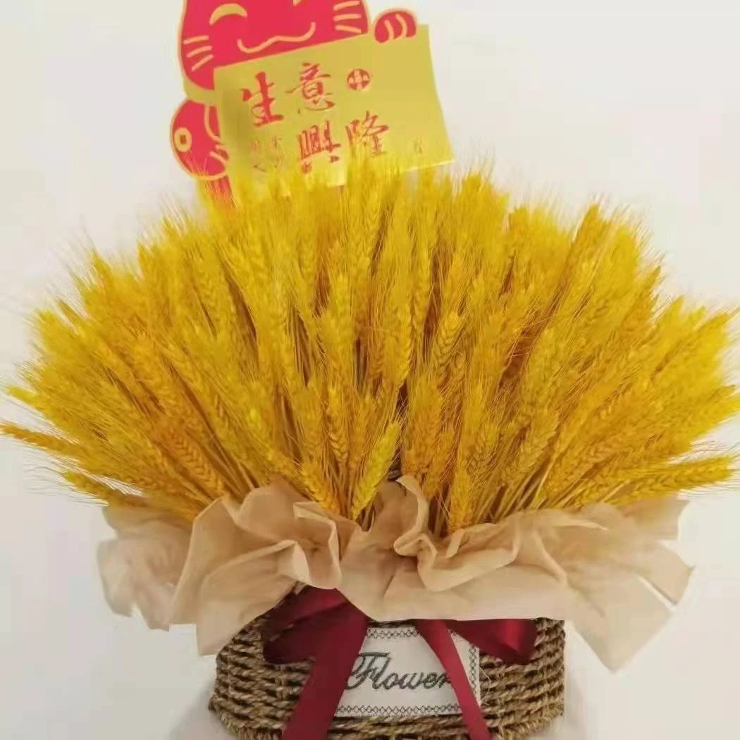开业花束天然麦穗干花田园装饰干花插花麦穗摆件混搭招财花束礼品