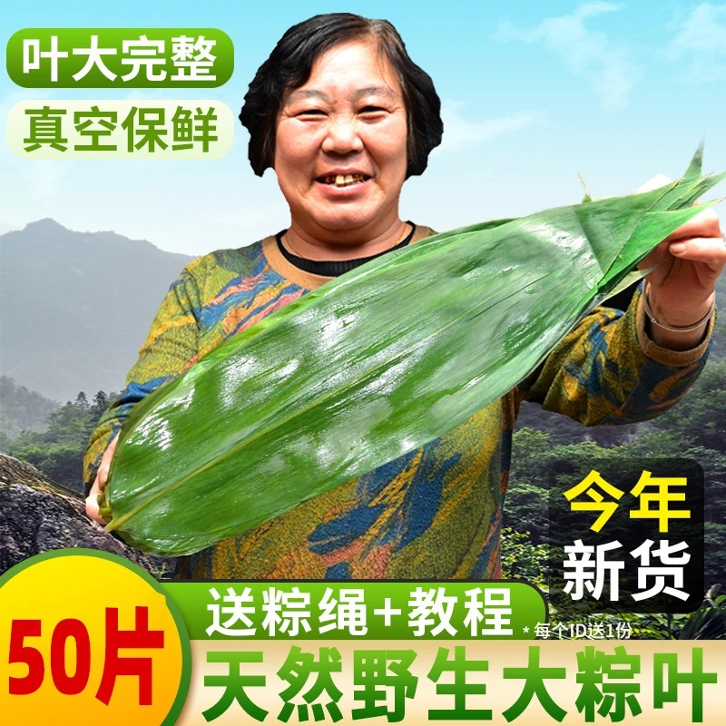 （9.8发50片）粽子叶端午包粽子大号箬竹叶新鲜天然鲜竹带粽绳150g