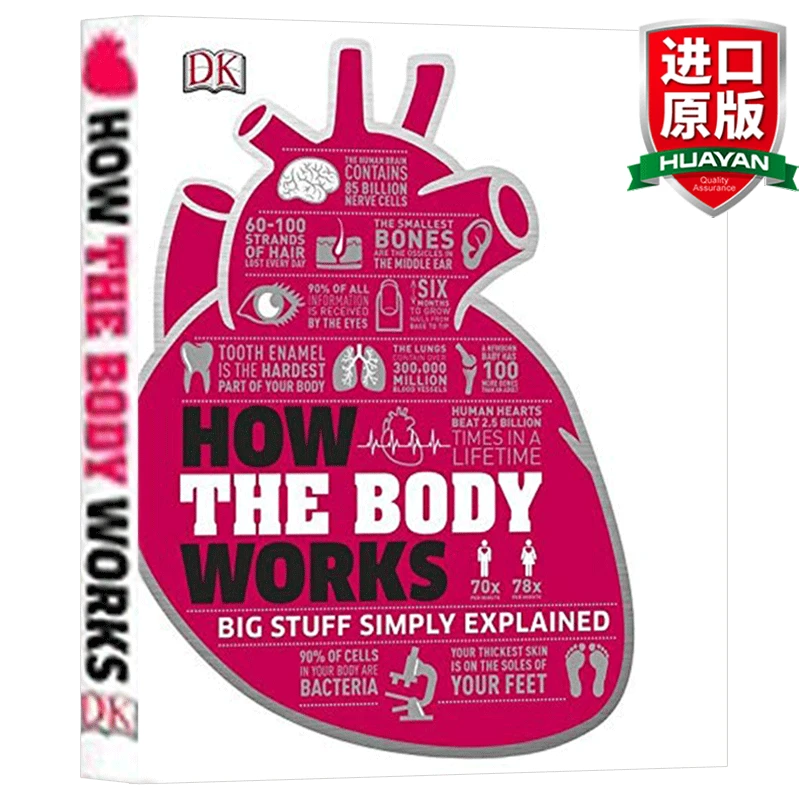 英文原版 DK人体百科全书 How the Body Works 人体是如何运作的