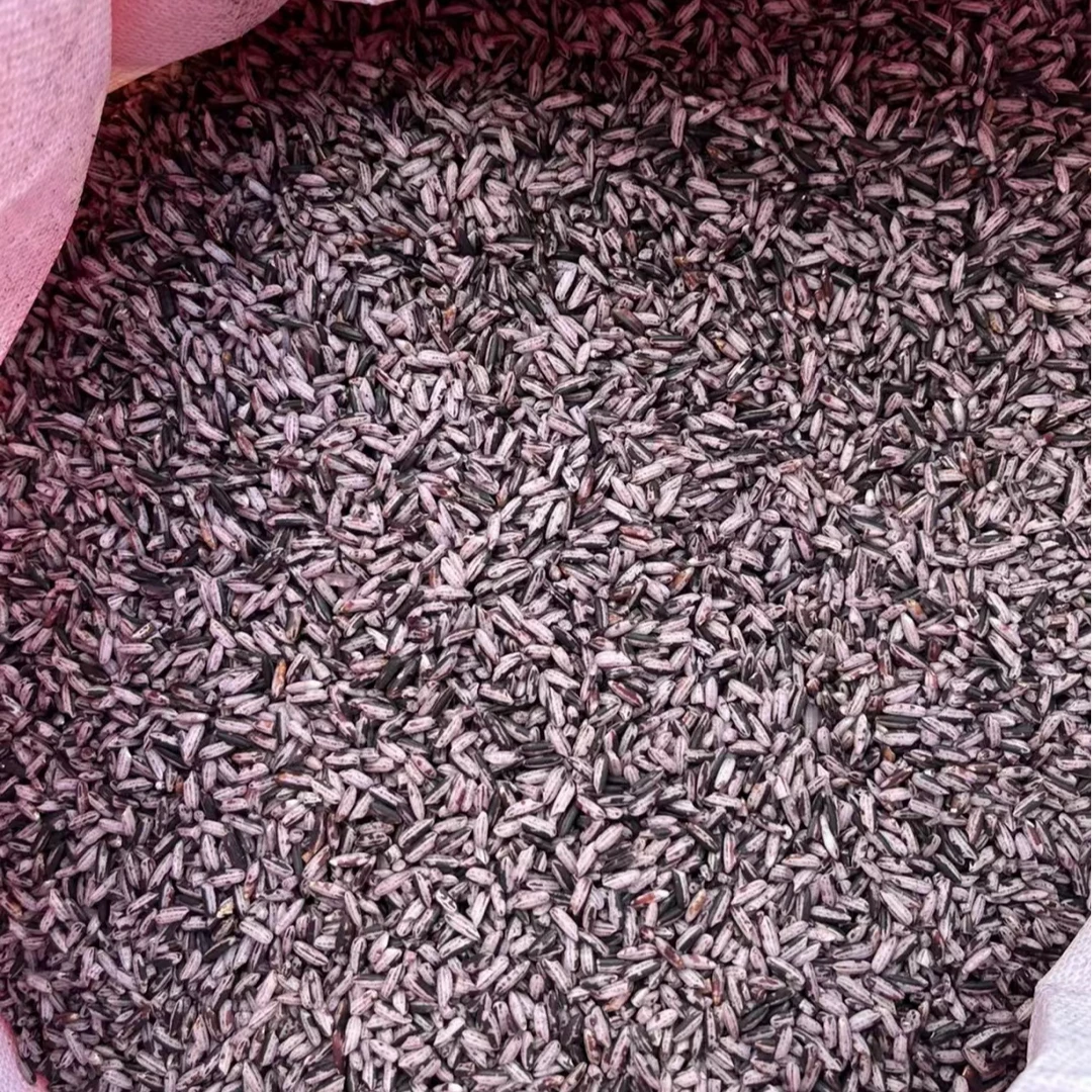 【云南墨江紫米】精选墨江特产紫米富含花青素不染色农家煮粥营养