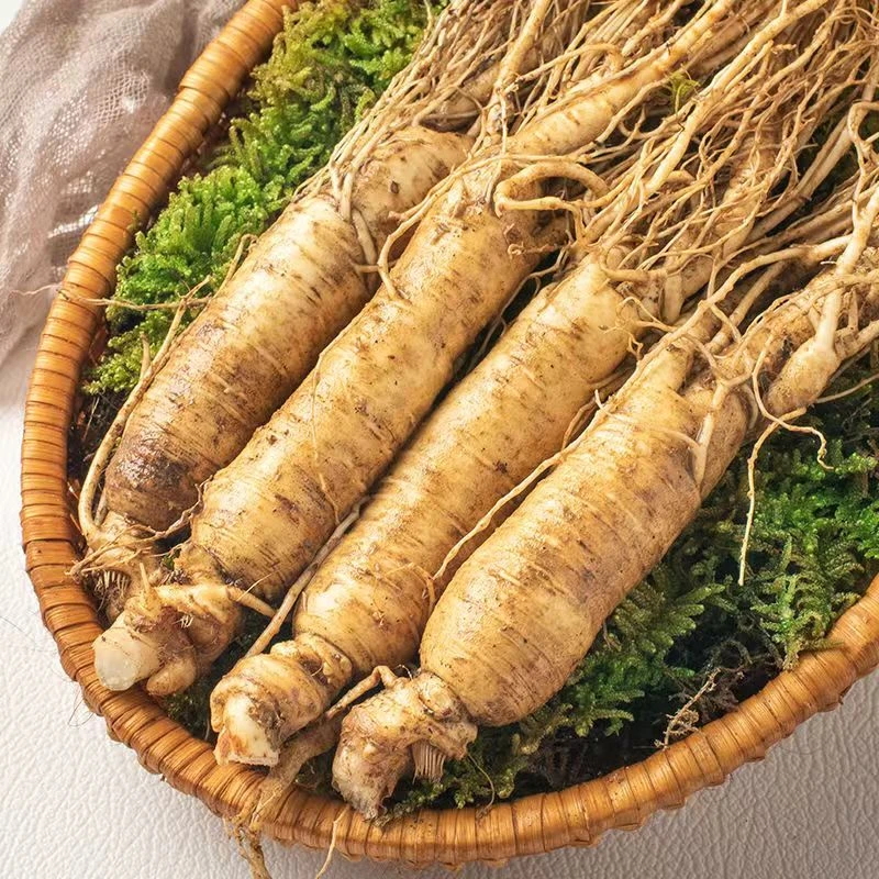 长白山现挖带土新鲜人参4-6年精品原产地发货33项检测合格产品