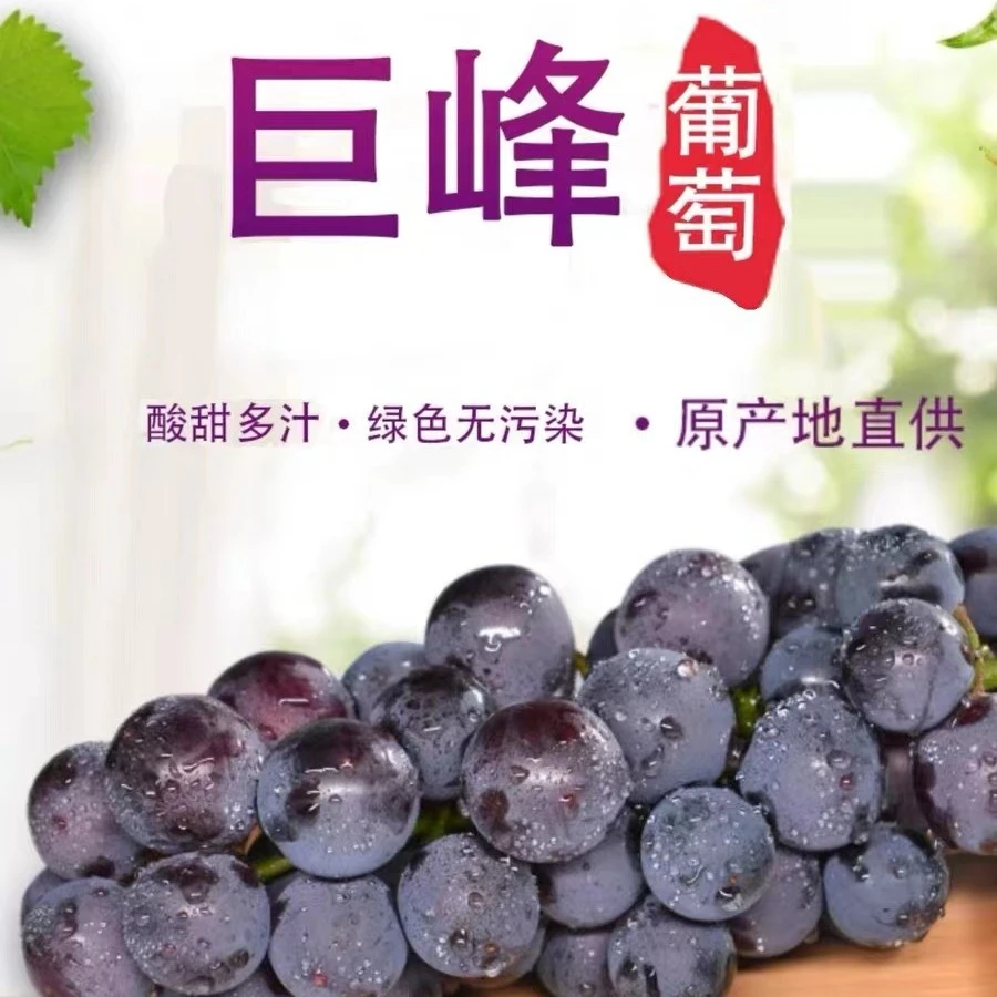 【水果外卖】香甜【冰糖巨峰】