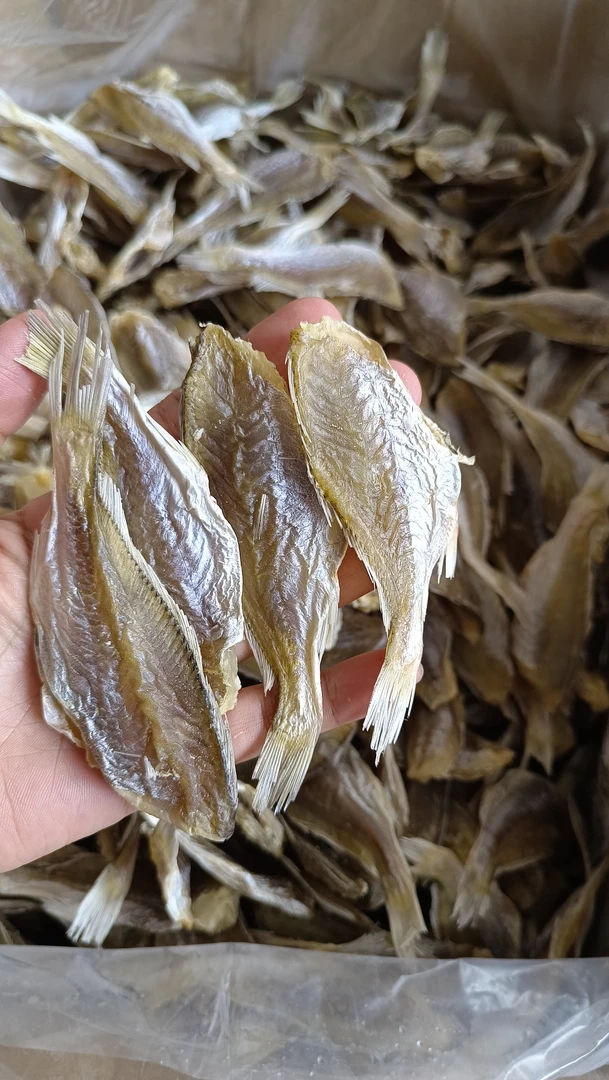 黄花鱼干 划条划仔淡盐足干味道好