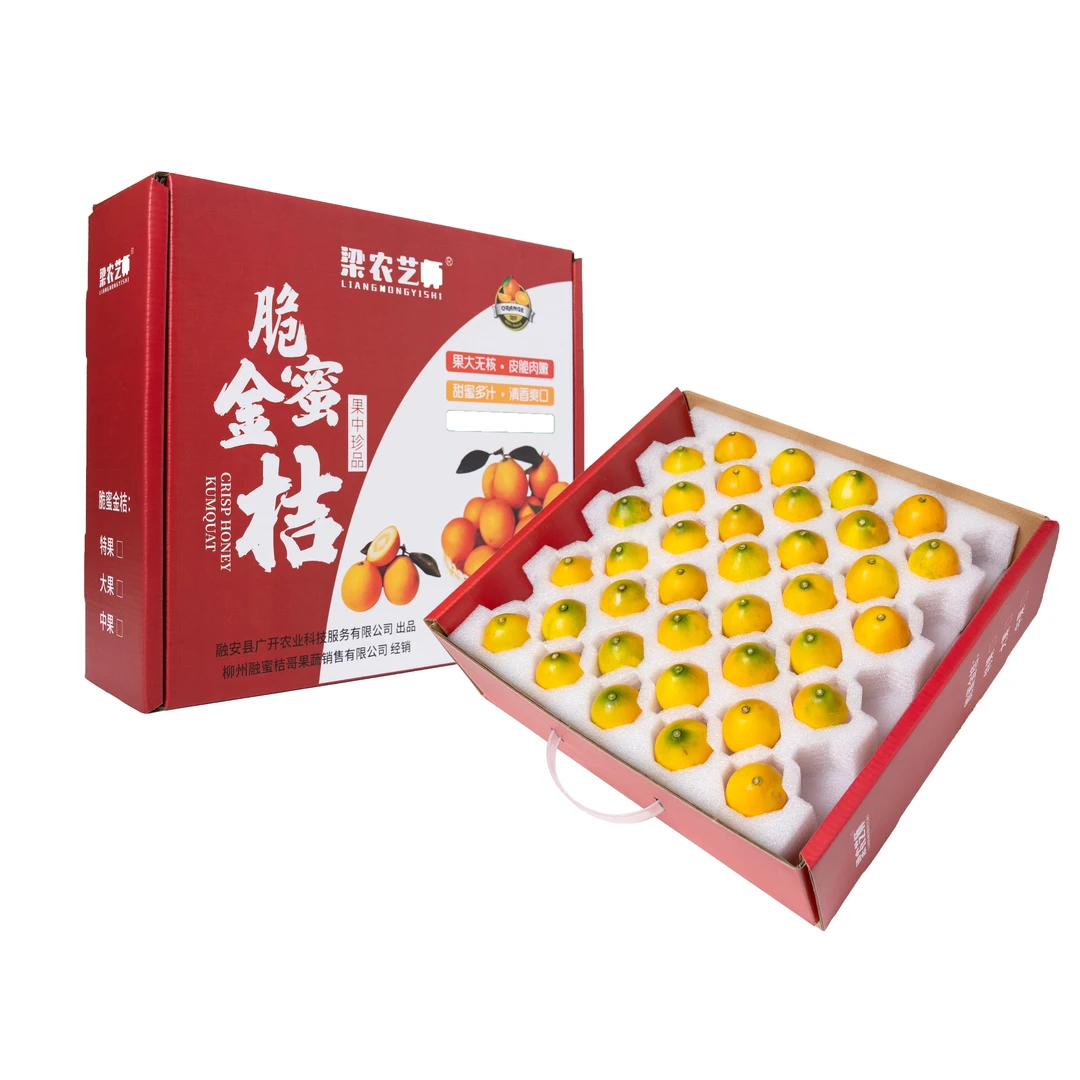 梁农艺师礼盒融安脆蜜金柑纯甜品质成熟皮薄果园采摘品牌直供发货