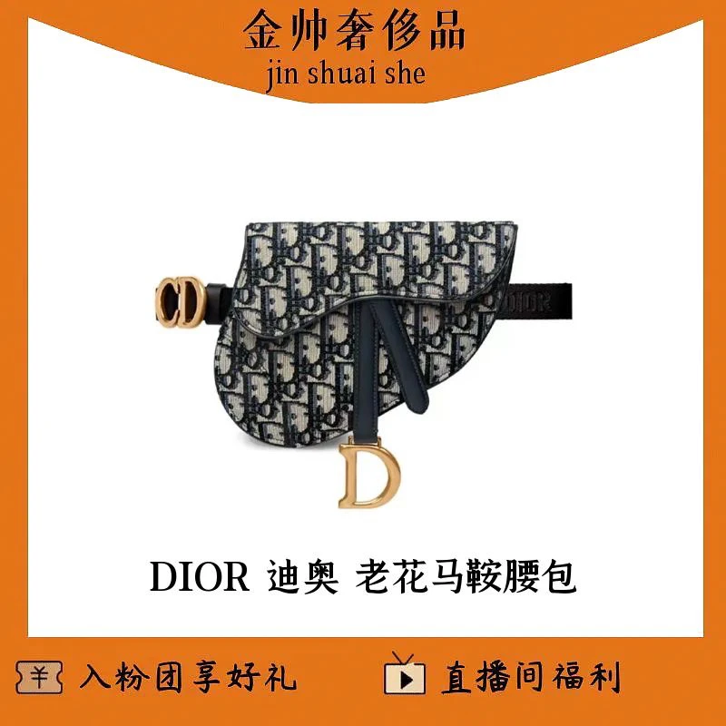 99新 DIOR/迪奥 马鞍/老花/腰包/单肩包B3818