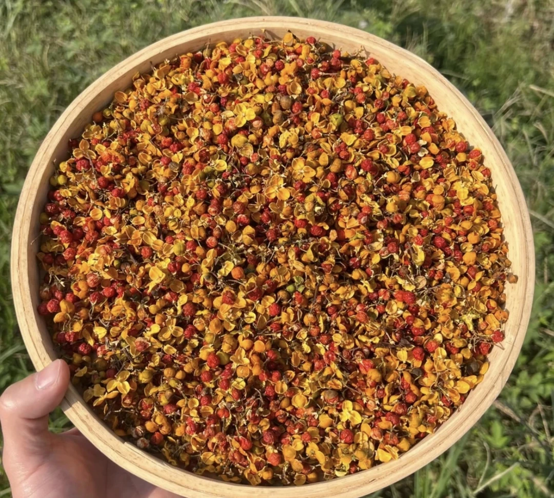 高山 农家 穿山龙红宝石