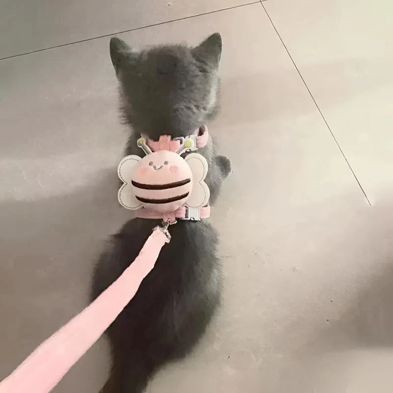 猫咪牵引绳防挣脱外出专用结实绳溜猫链子宠物胸背带猫绳子可调节