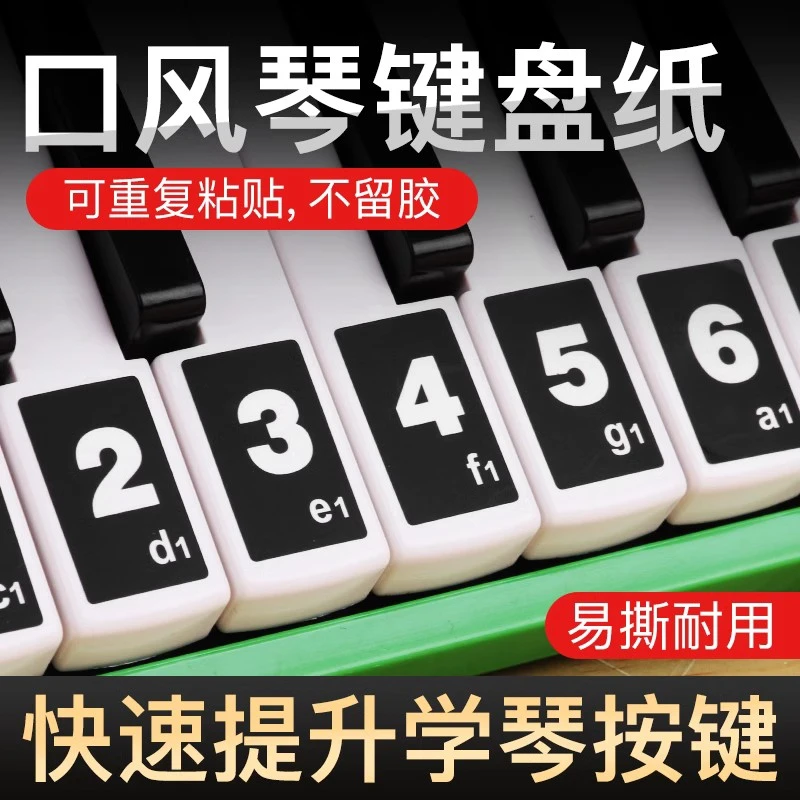 口风琴37/32键音符条简谱贴纸儿童初学口风琴专用音阶音标音符贴