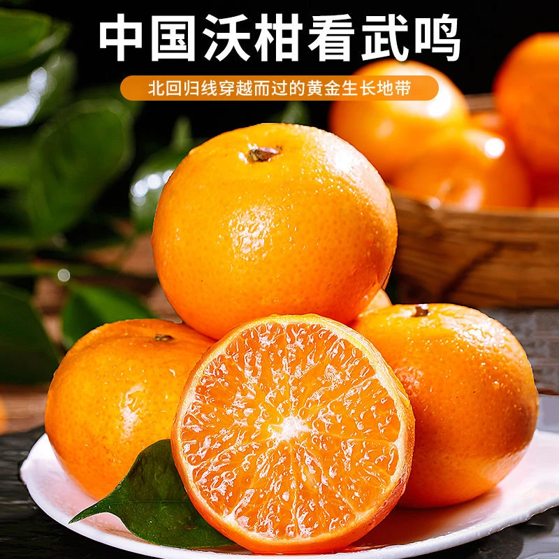 广西武鸣沃柑新鲜5斤9斤超甜橘子多汁应季采摘果园直发不是耙耙柑